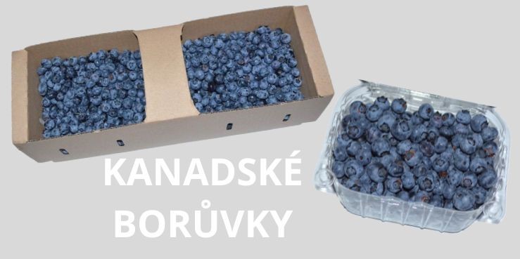 Borůvky