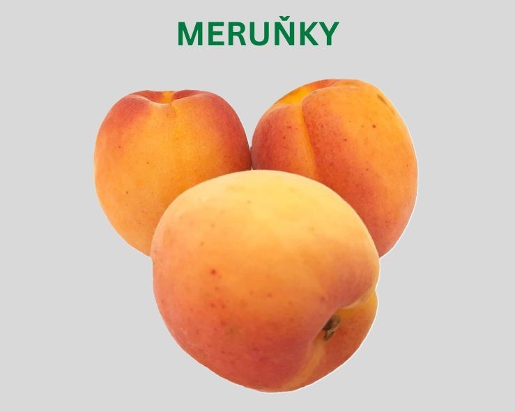 Meruňky