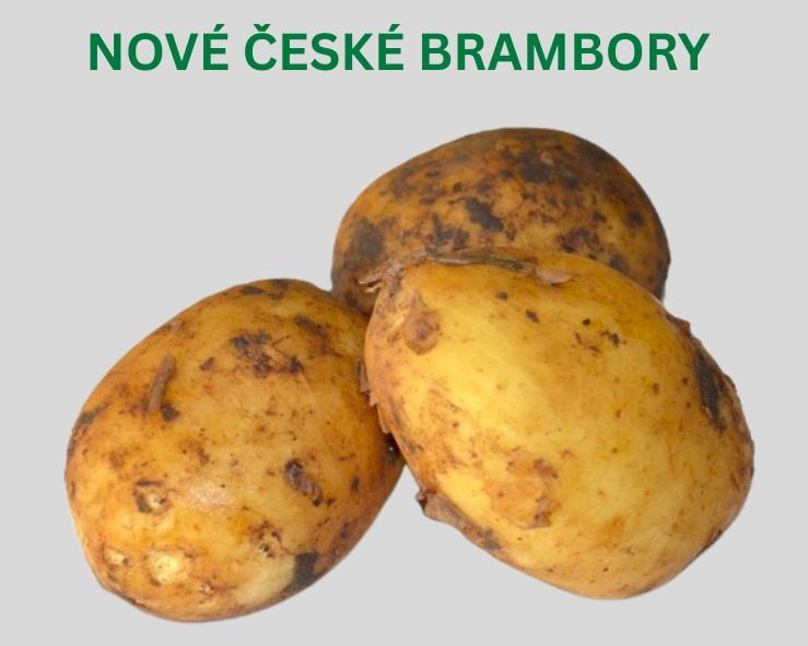 Brambory