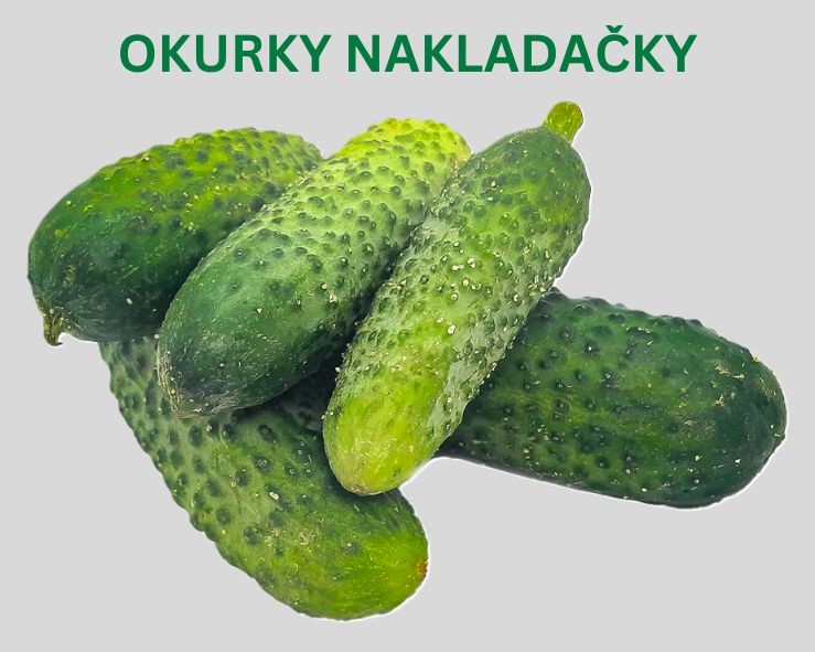 Okurky nakladačky