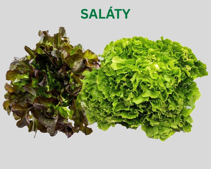 Saláty mix