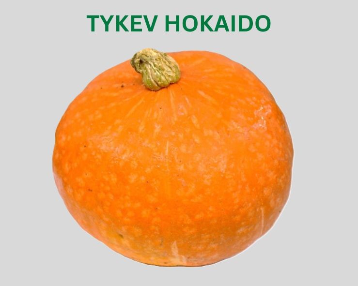 Tykev Hokaido