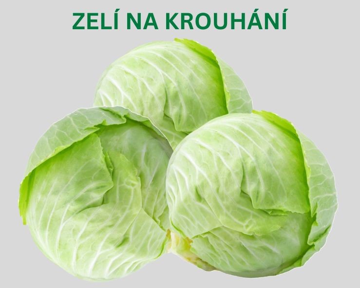 Zelí bílé na krouhání