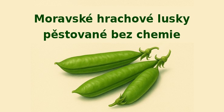 hrach