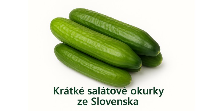 okurky