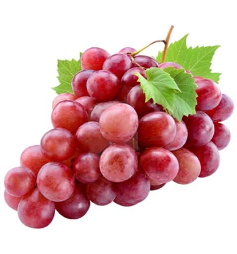 ovoce_bobulove_ovoce