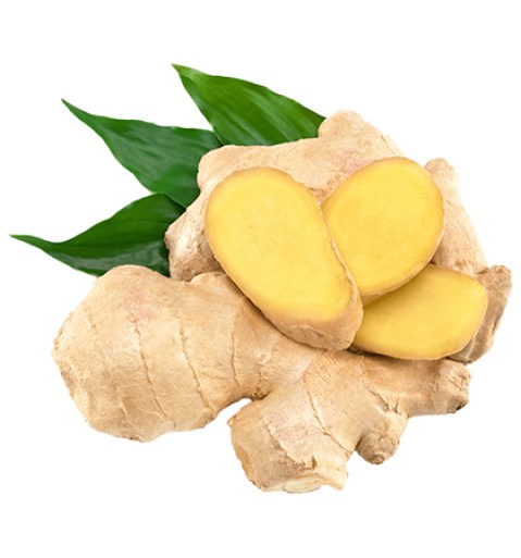 zelenina_koreninova-a-lahudkova-zelenina