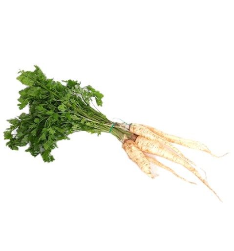 zelenina_korenova-zelenina