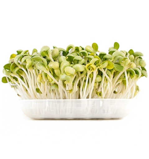 zelenina_luskova-a-klicky