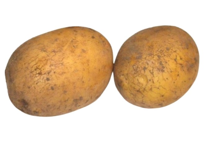 Obrázek