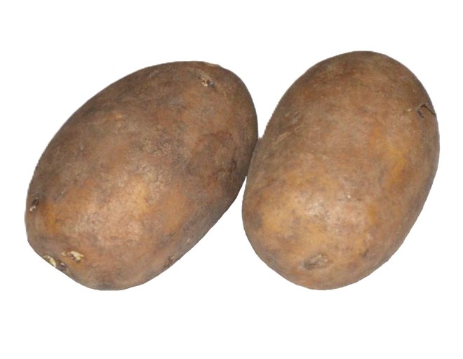 Obrázek
