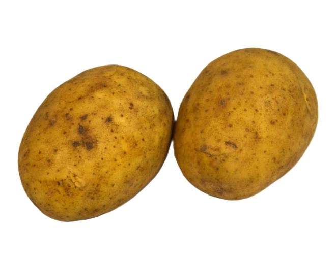 Obrázek