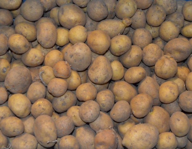 Obrázek