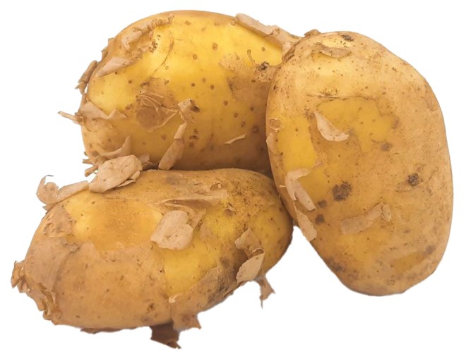 Obrázek
