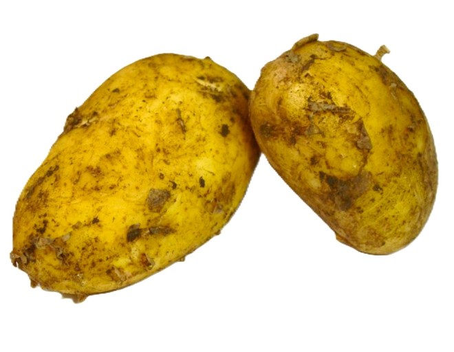 Obrázek