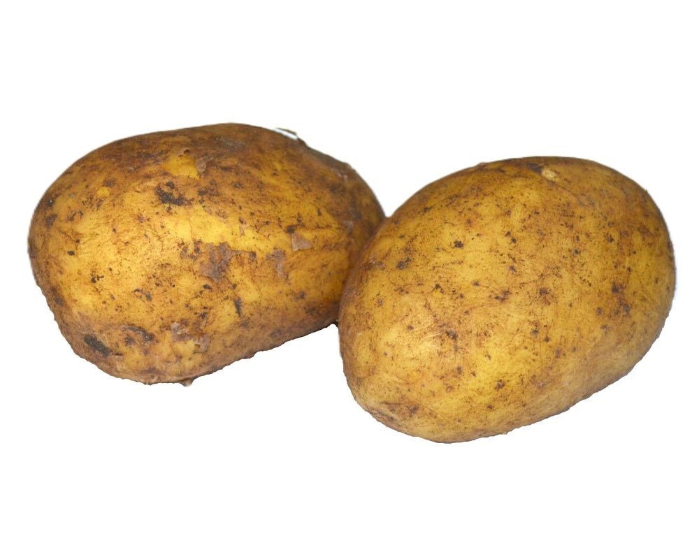 Obrázek