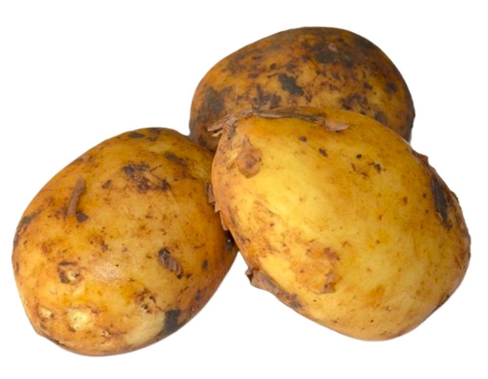 Obrázek
