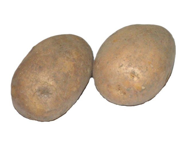 Obrázek