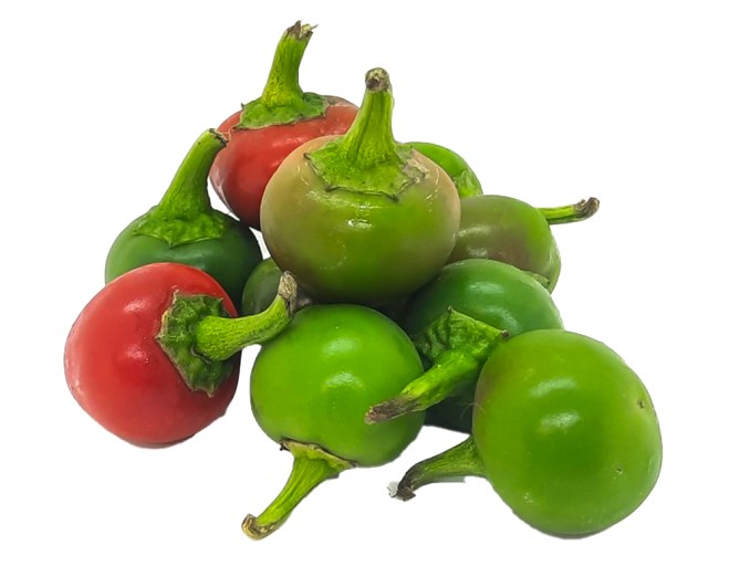 Obrázek