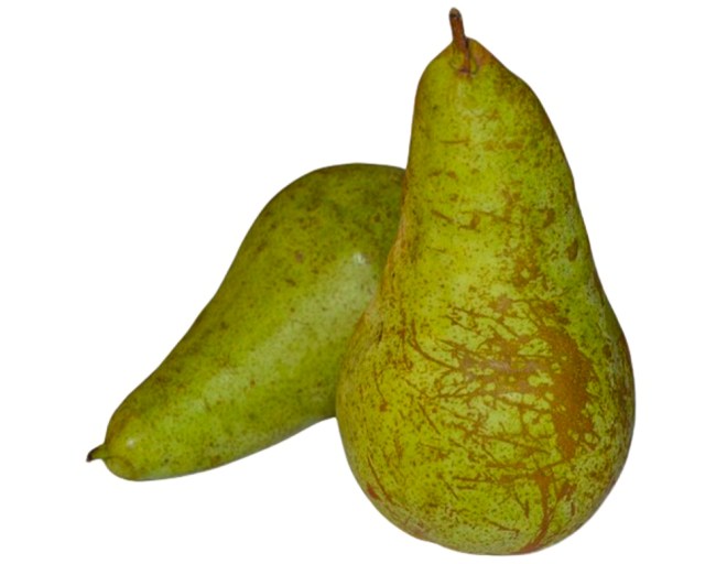 Obrázek