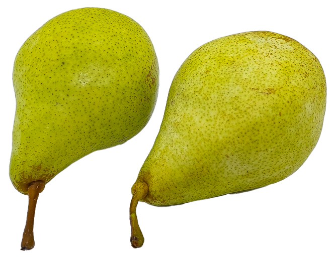 Obrázek