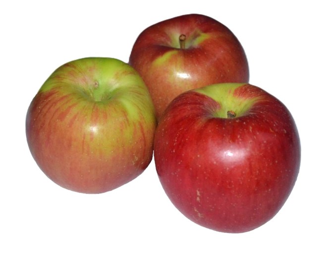 Obrázek