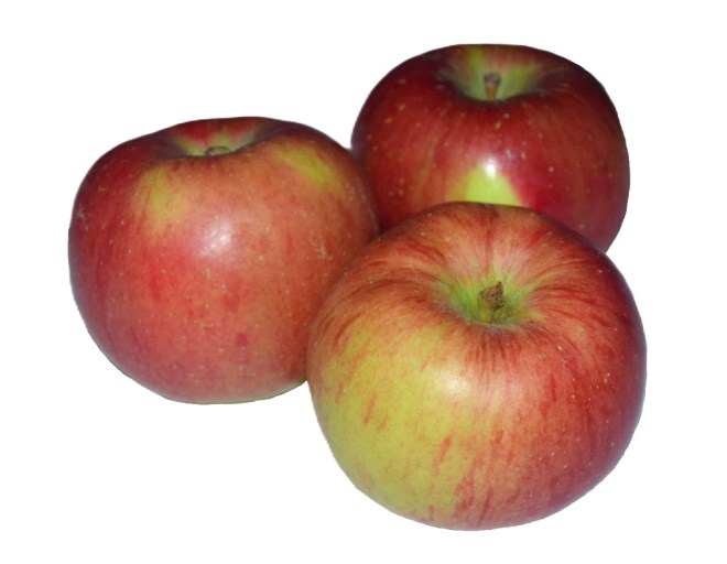 Obrázek