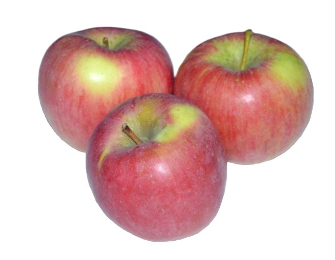 Obrázek