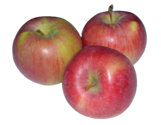 Obrázek