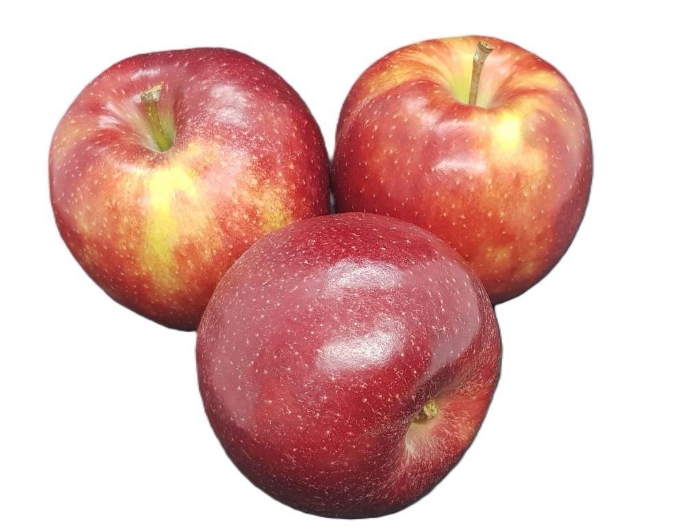 Obrázek