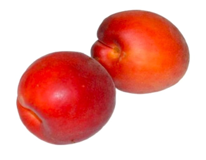Obrázek