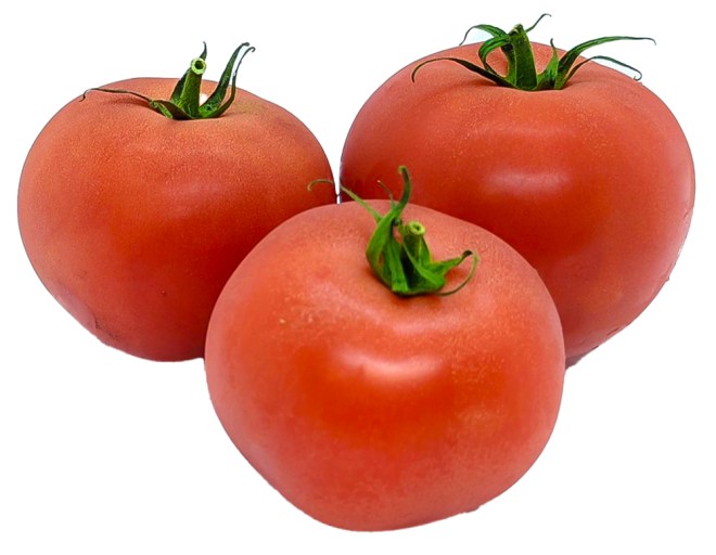 Obrázek