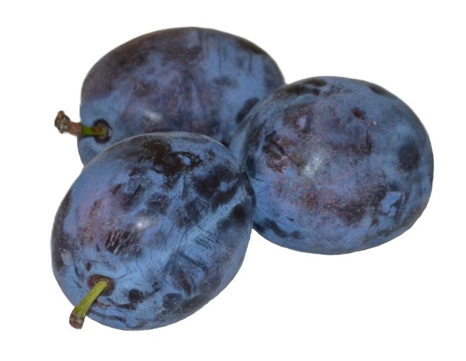 Obrázek