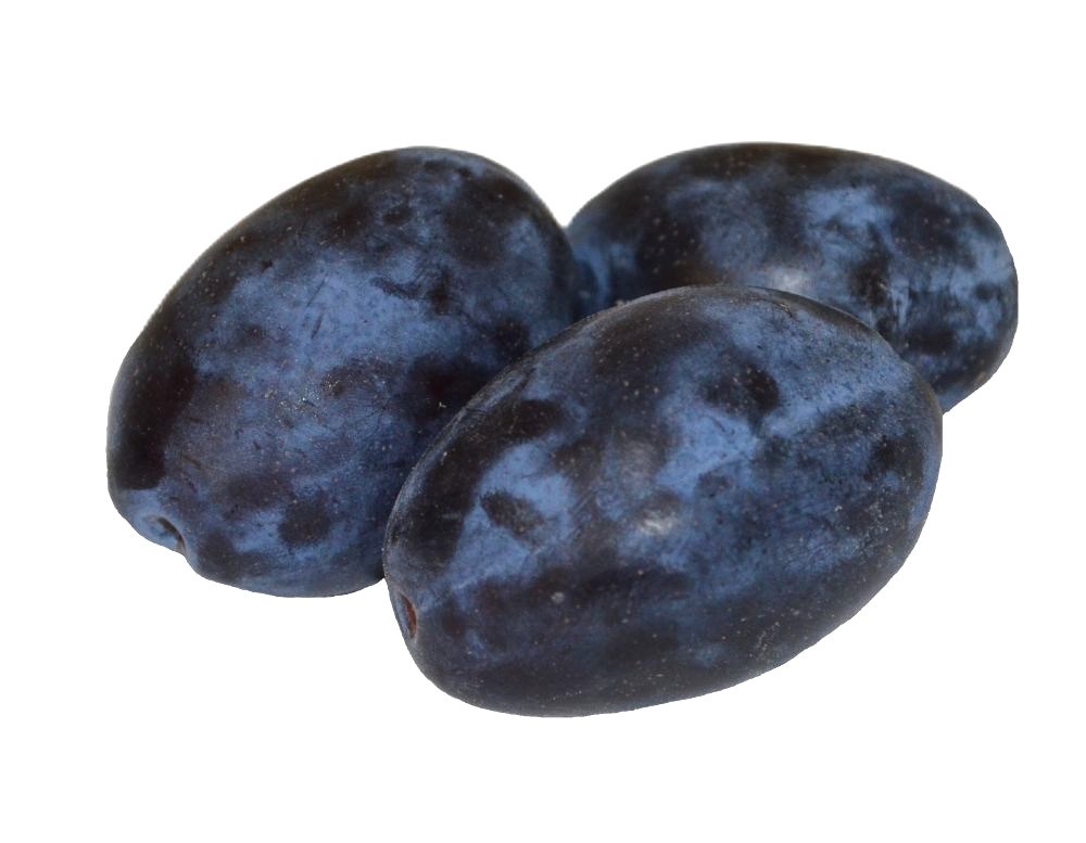 Obrázek